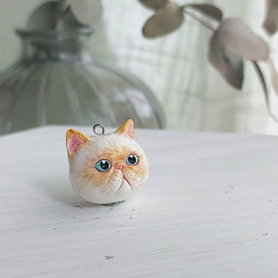 cat Exotic shorthair flame point pendant turn table