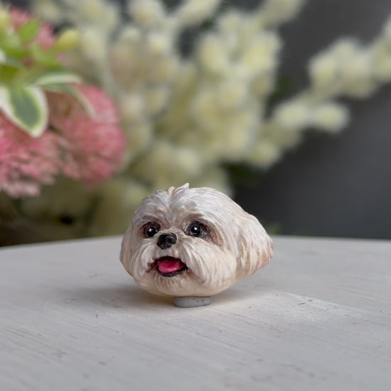 Shih Tzu white pendant turn table